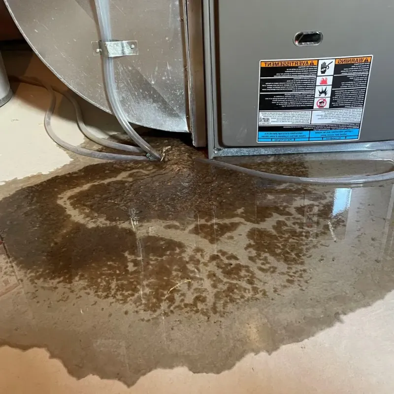 Pipe Burst and Leak Restoration in City of Fredericksburg, VA