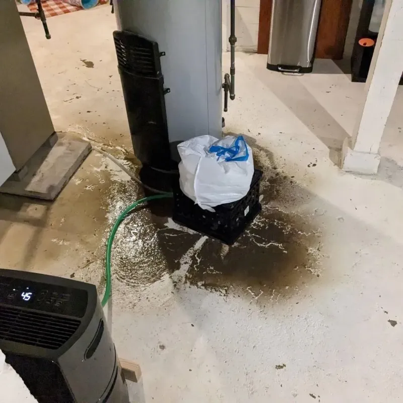 Sewage Backup Cleanup Service in City of Fredericksburg, VA
